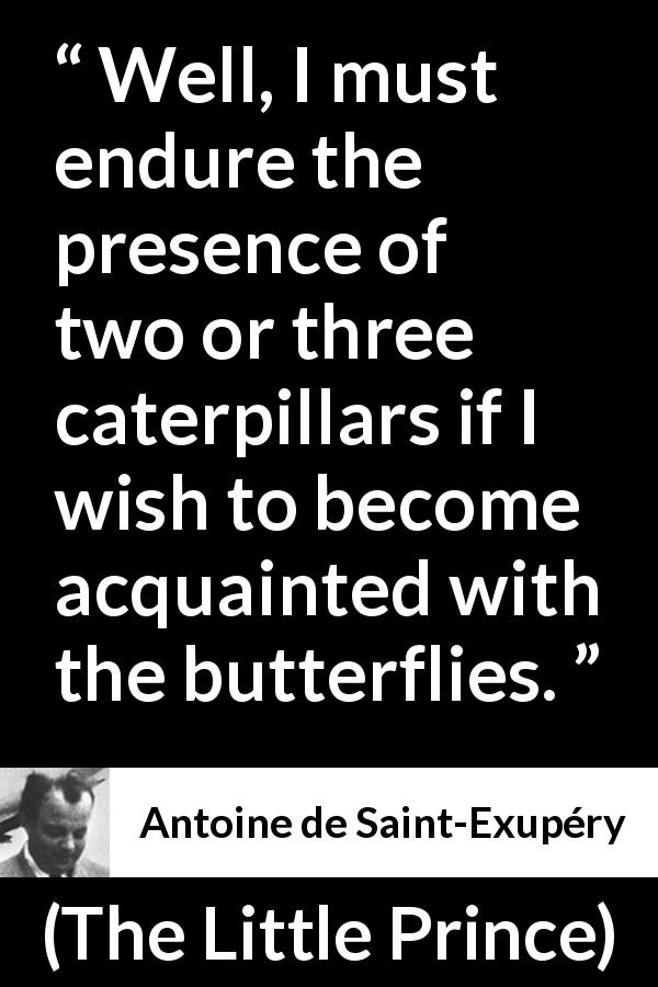 Antoine de Saint-Exupéry quote about compromise from The Little Prince - Well, I must endure the presence of two or three caterpillars if I wish to become acquainted with the butterflies.