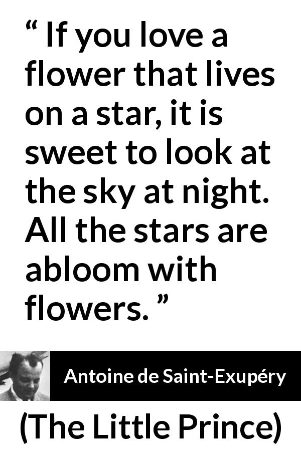 Antoine de Saint-Exupéry quote about love from The Little Prince - If you love a flower that lives on a star, it is sweet to look at the sky at night. All the stars are abloom with flowers.