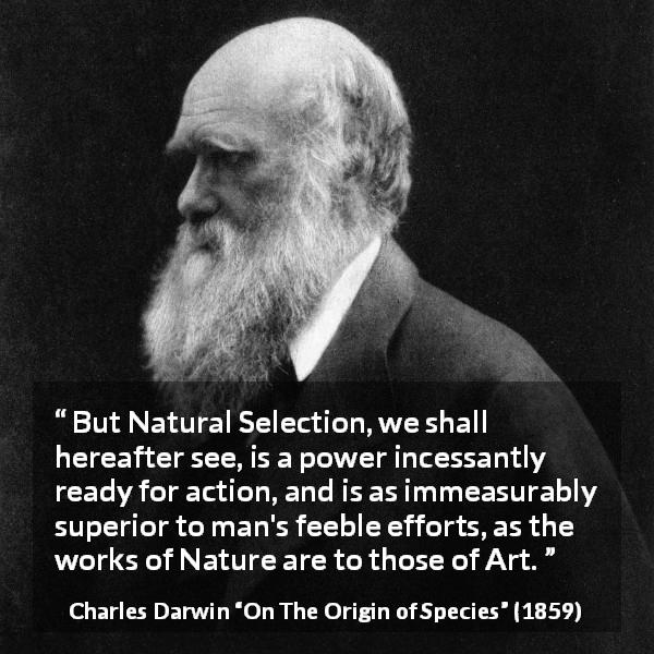 Charles Darwin quote about man from On The Origin of Species - But Natural Selection, we shall hereafter see, is a power incessantly ready for action, and is as immeasurably superior to man's feeble efforts, as the works of Nature are to those of Art.