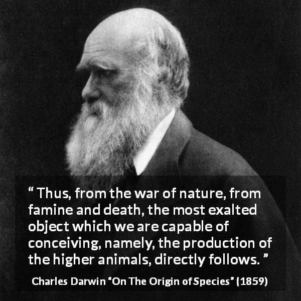 Charles Darwin quote about nature from On The Origin of Species - Thus, from the war of nature, from famine and death, the most exalted object which we are capable of conceiving, namely, the production of the higher animals, directly follows.