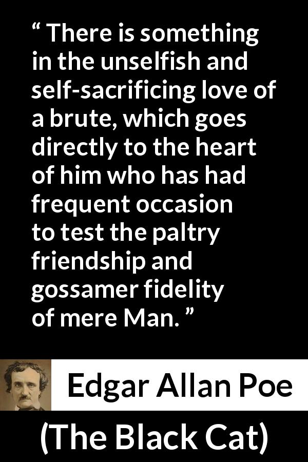 Edgar Allan Poe quote about love from The Black Cat - There is something in the unselfish and self-sacrificing love of a brute, which goes directly to the heart of him who has had frequent occasion to test the paltry friendship and gossamer fidelity of mere Man.
