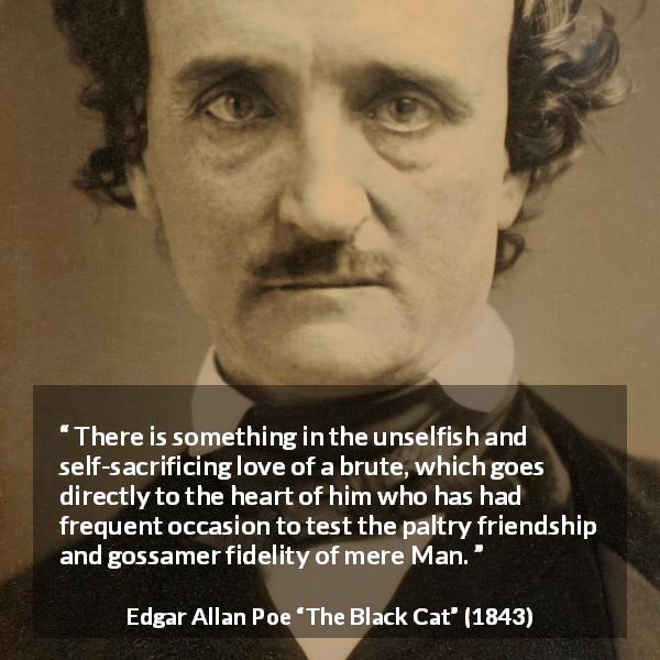Edgar Allan Poe quote about love from The Black Cat - There is something in the unselfish and self-sacrificing love of a brute, which goes directly to the heart of him who has had frequent occasion to test the paltry friendship and gossamer fidelity of mere Man.