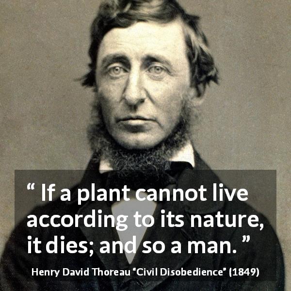 Henry David Thoreau quote about freedom from Civil Disobedience - If a plant cannot live according to its nature, it dies; and so a man.
