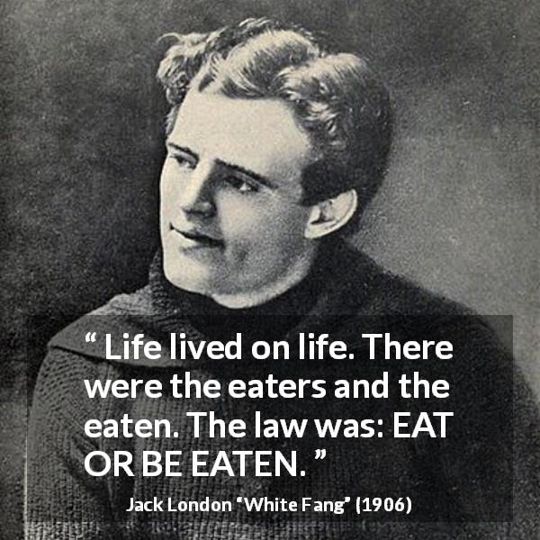 Jack London quote about life from White Fang - Life lived on life. There were the eaters and the eaten. The law was: EAT OR BE EATEN.