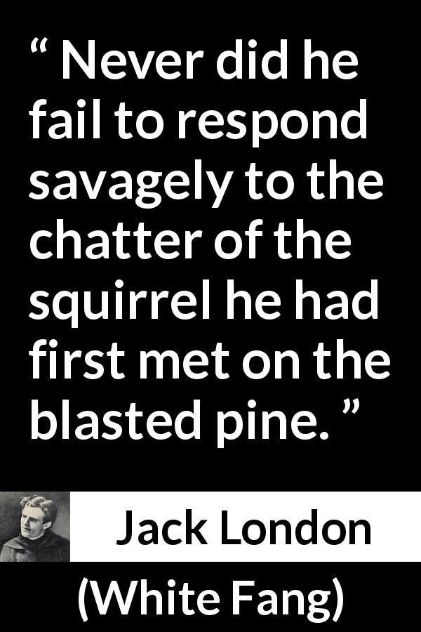 Jack London quote about nature from White Fang - Never did he fail to respond savagely to the chatter of the squirrel he had first met on the blasted pine.