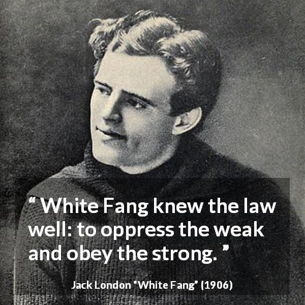 Jack London quote about strength from White Fang - White Fang knew the law well: to oppress the weak and obey the strong.