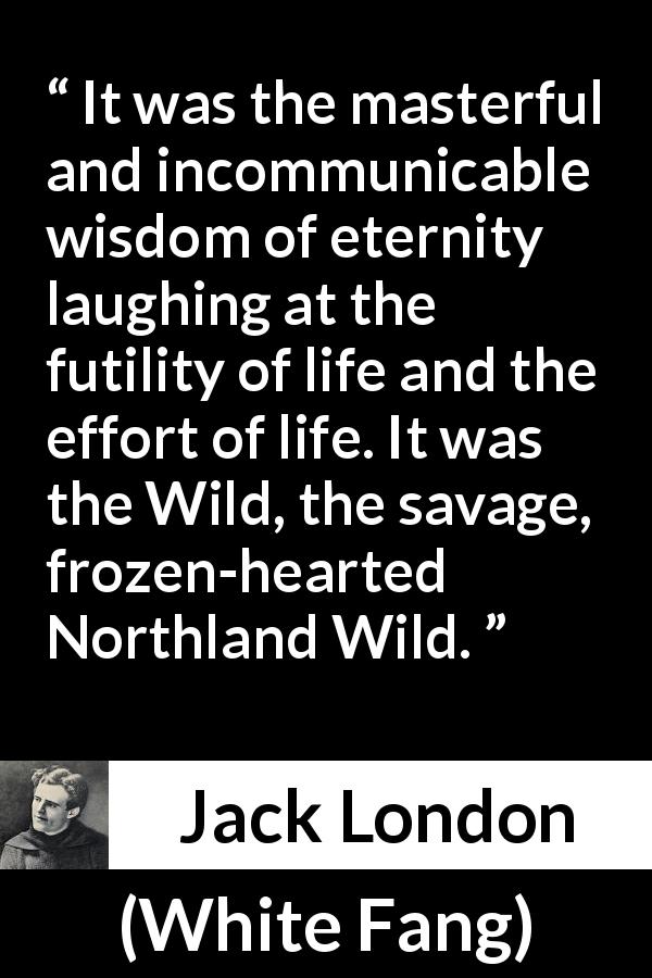 Jack London quote about wisdom from White Fang - It was the masterful and incommunicable wisdom of eternity laughing at the futility of life and the effort of life. It was the Wild, the savage, frozen-hearted Northland Wild.