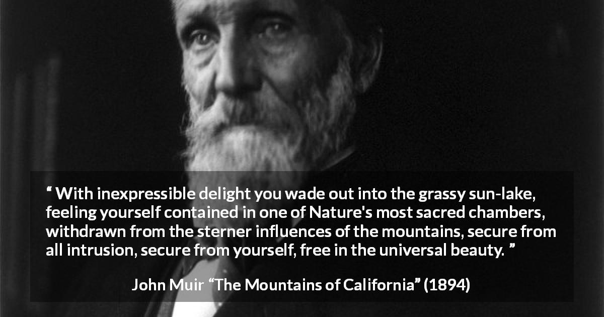 John Muir quote about beauty from The Mountains of California - With inexpressible delight you wade out into the grassy sun-lake, feeling yourself contained in one of Nature's most sacred chambers, withdrawn from the sterner influences of the mountains, secure from all intrusion, secure from yourself, free in the universal beauty.