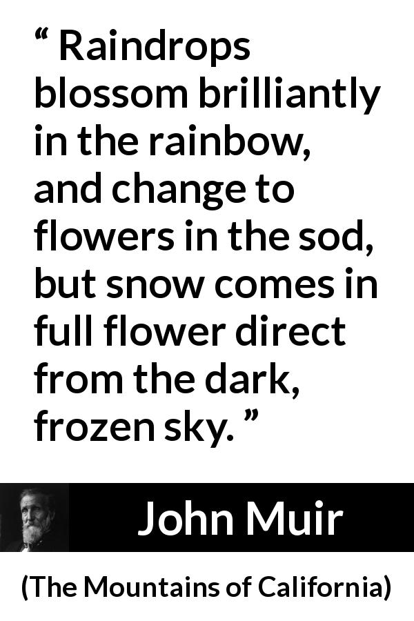 John Muir quote about nature from The Mountains of California - Raindrops blossom brilliantly in the rainbow, and change to flowers in the sod, but snow comes in full flower direct from the dark, frozen sky.