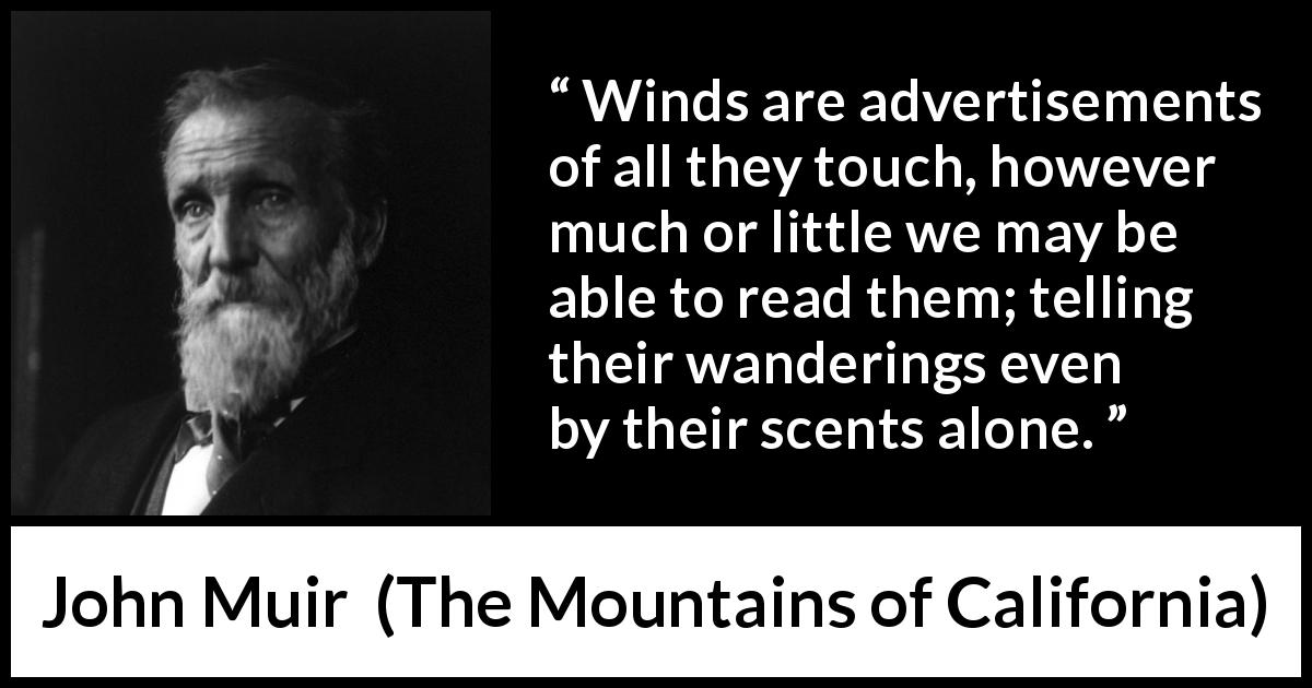 John Muir quote about wind from The Mountains of California - Winds are advertisements of all they touch, however much or little we may be able to read them; telling their wanderings even by their scents alone.