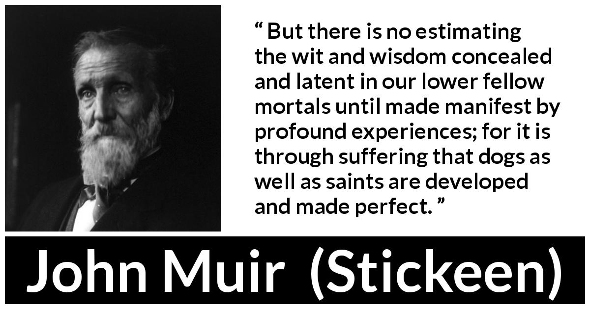 John Muir quote about wisdom from Stickeen - But there is no estimating the wit and wisdom concealed and latent in our lower fellow mortals until made manifest by profound experiences; for it is through suffering that dogs as well as saints are developed and made perfect.