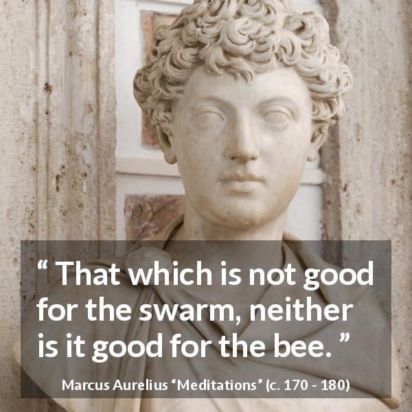 Marcus Aurelius quote about goodness from Meditations - That which is not good for the swarm, neither is it good for the bee.