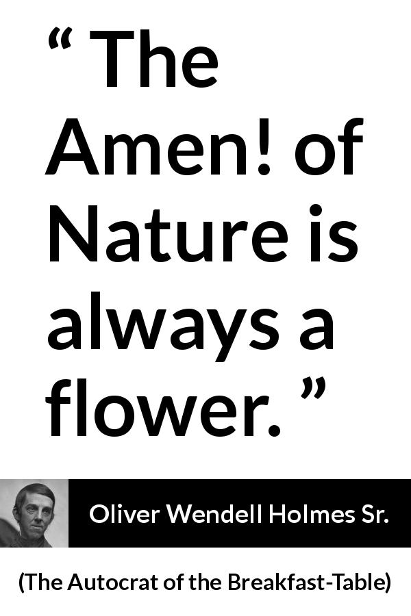 Oliver Wendell Holmes Sr. quote about flower from The Autocrat of the Breakfast-Table - The Amen! of Nature is always a flower.