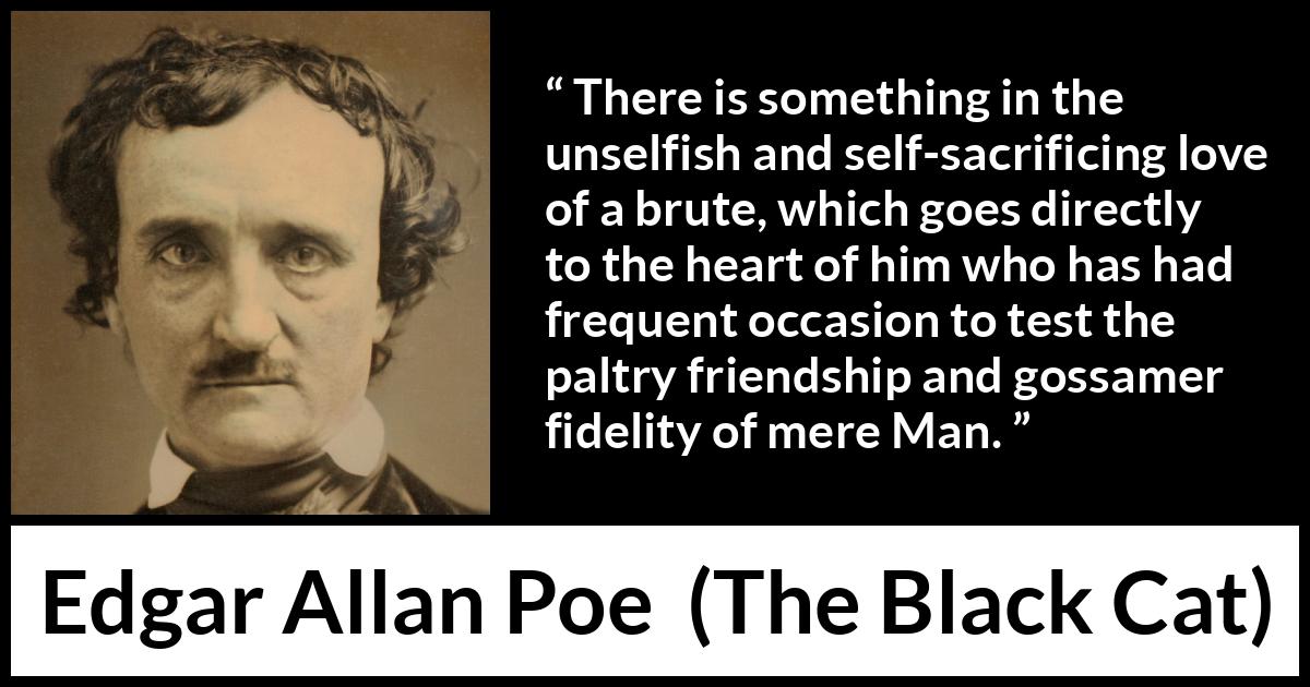 Edgar Allan Poe - The Black Cat - There is something in the unselfish and self-sacrificing love of a brute, which goes directly to the heart of him who has had frequent occasion to test the paltry friendship and gossamer fidelity of mere Man.