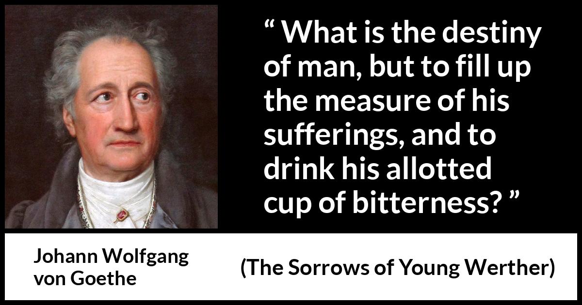 Johann Wolfgang von Goethe - The Sorrows of Young Werther - What is the destiny of man, but to fill up the measure of his sufferings, and to drink his allotted cup of bitterness?