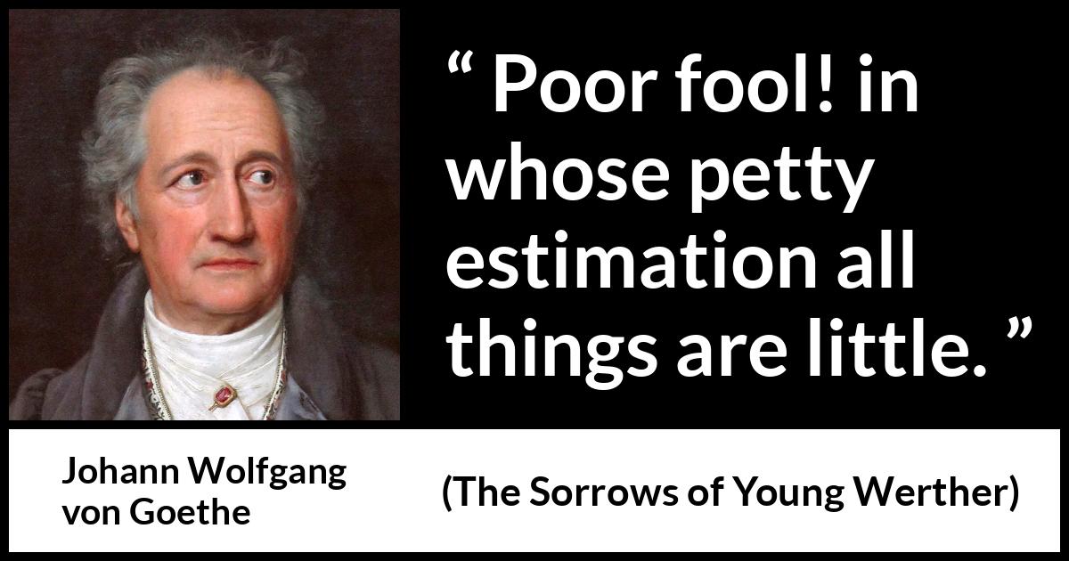 Johann Wolfgang von Goethe - The Sorrows of Young Werther - Poor fool! in whose petty estimation all things are little.