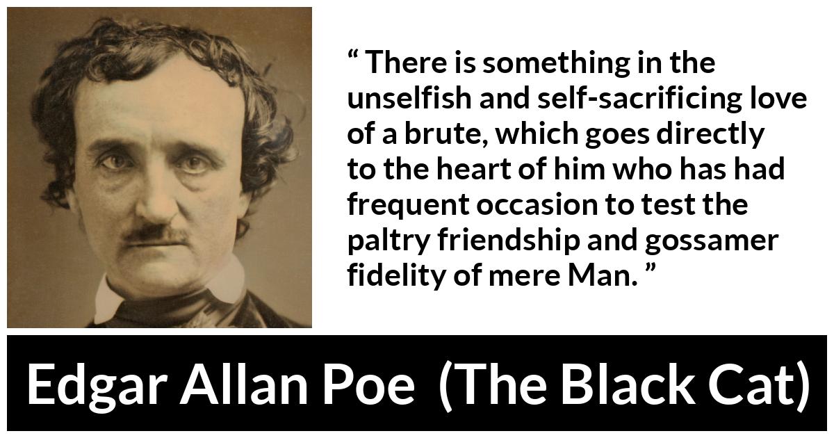 Edgar Allan Poe - The Black Cat - There is something in the unselfish and self-sacrificing love of a brute, which goes directly to the heart of him who has had frequent occasion to test the paltry friendship and gossamer fidelity of mere Man.