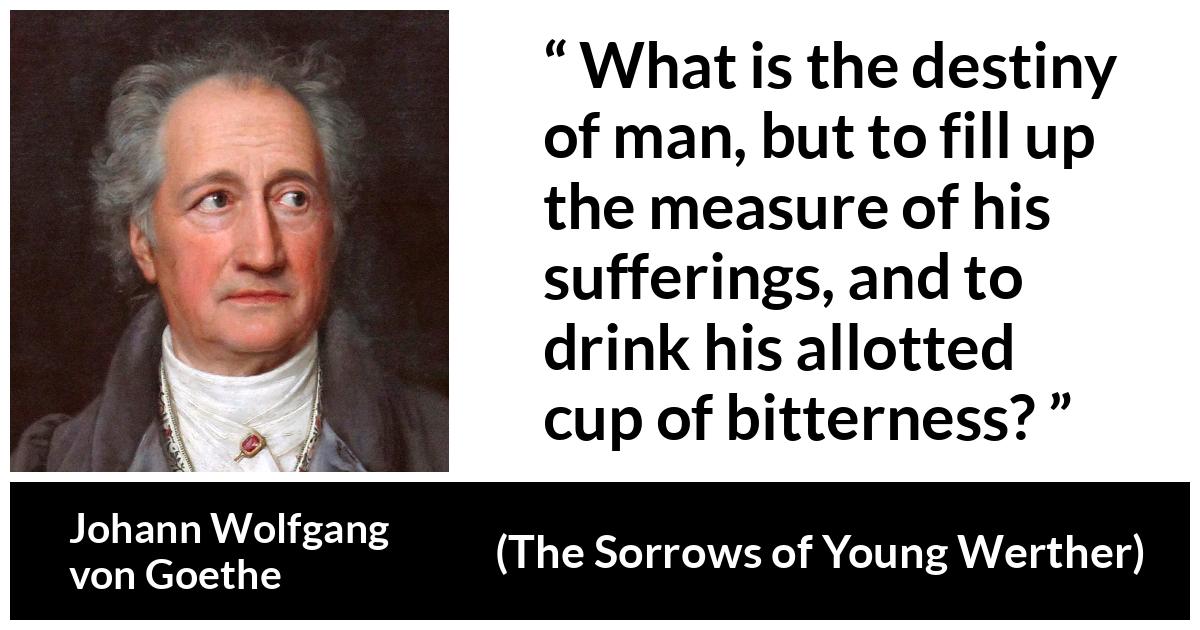 Johann Wolfgang von Goethe - The Sorrows of Young Werther - What is the destiny of man, but to fill up the measure of his sufferings, and to drink his allotted cup of bitterness?