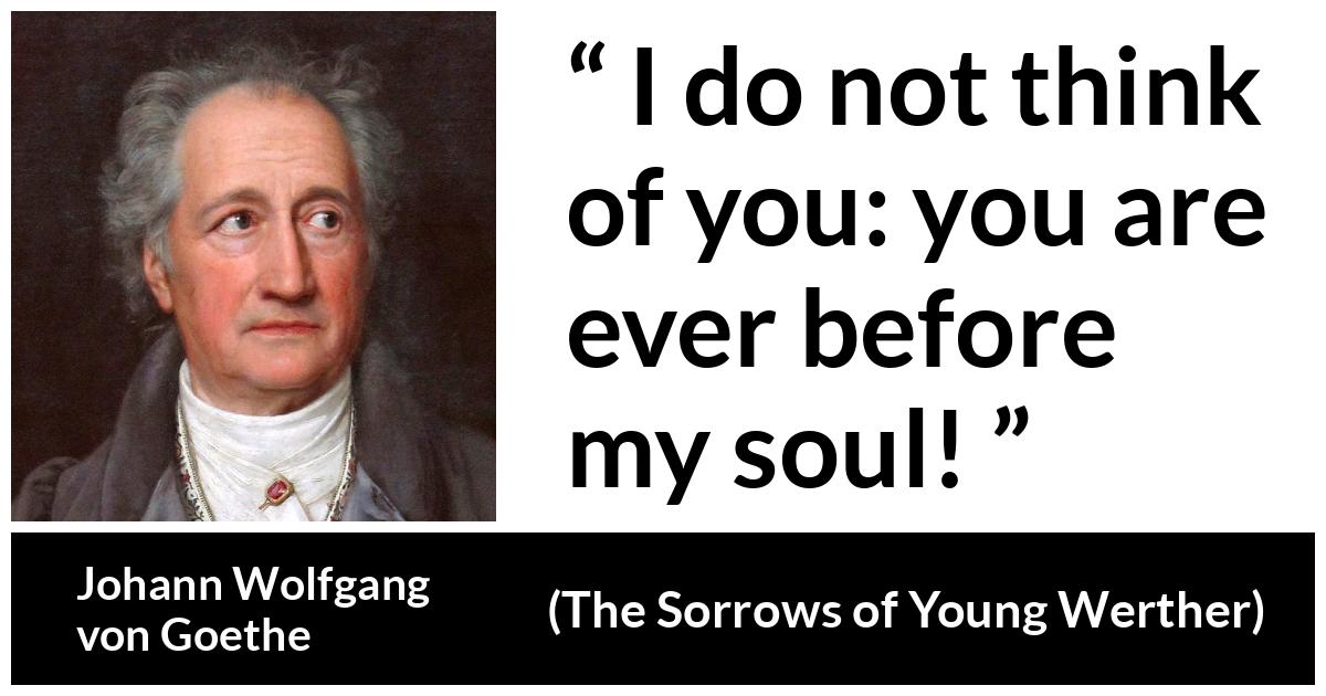 Johann Wolfgang von Goethe - The Sorrows of Young Werther - I do not think of you: you are ever before my soul!