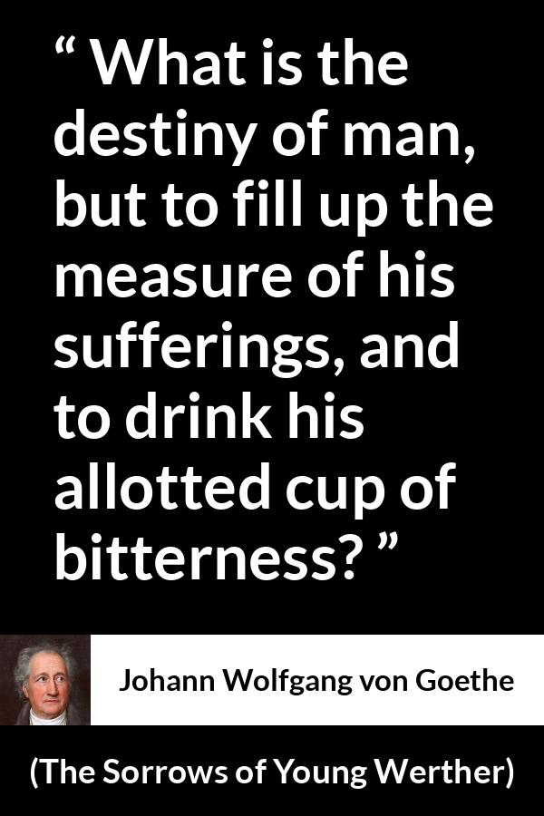 Johann Wolfgang von Goethe - The Sorrows of Young Werther - What is the destiny of man, but to fill up the measure of his sufferings, and to drink his allotted cup of bitterness?