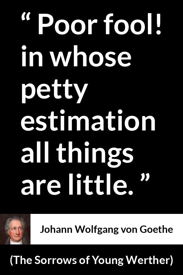 Johann Wolfgang von Goethe - The Sorrows of Young Werther - Poor fool! in whose petty estimation all things are little.
