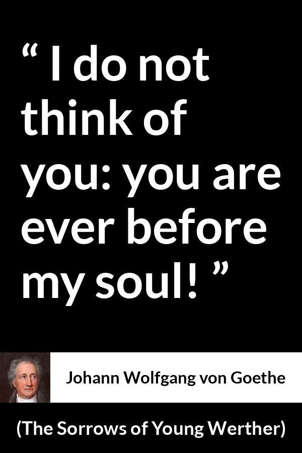 Johann Wolfgang von Goethe - The Sorrows of Young Werther - I do not think of you: you are ever before my soul!