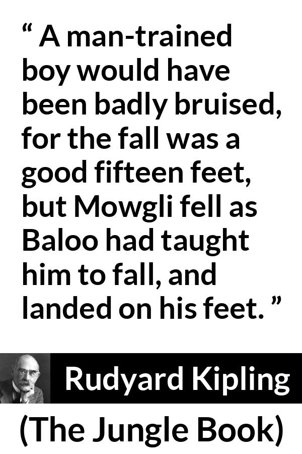 Rudyard Kipling - The Jungle Book - A man-trained boy would have been badly bruised, for the fall was a good fifteen feet, but Mowgli fell as Baloo had taught him to fall, and landed on his feet.