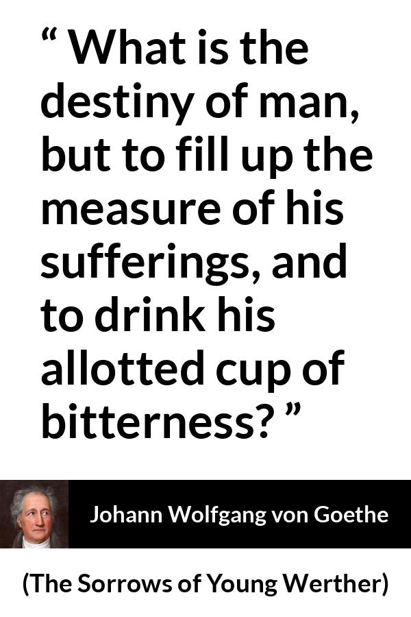 Johann Wolfgang von Goethe - The Sorrows of Young Werther - What is the destiny of man, but to fill up the measure of his sufferings, and to drink his allotted cup of bitterness?