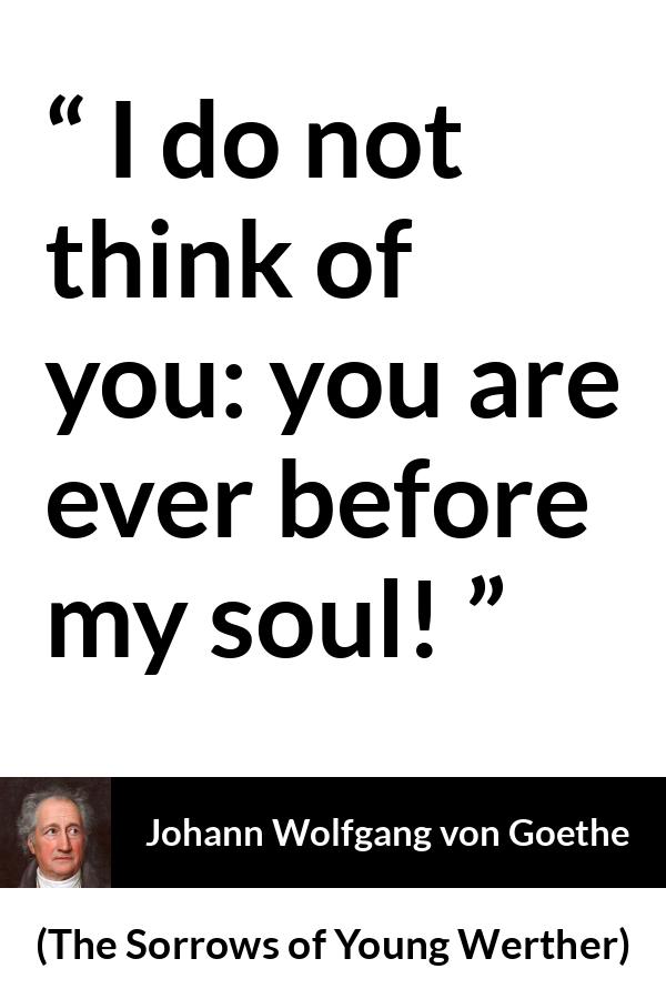 Johann Wolfgang von Goethe - The Sorrows of Young Werther - I do not think of you: you are ever before my soul!