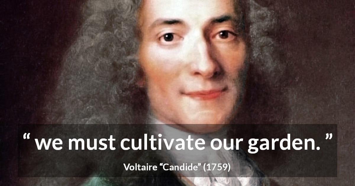Voltaire quote about practice from Candide - we must cultivate our garden.