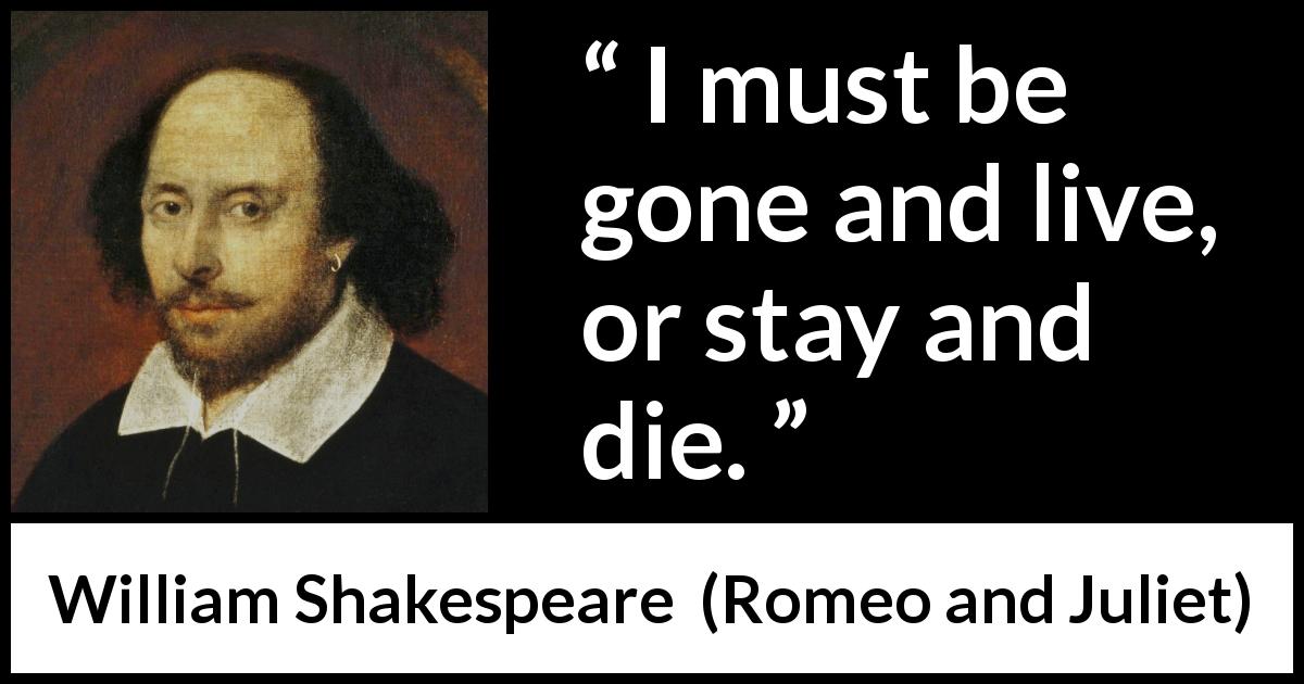 William Shakespeare quote about dilemma from Romeo and Juliet - I must be gone and live, or stay and die.