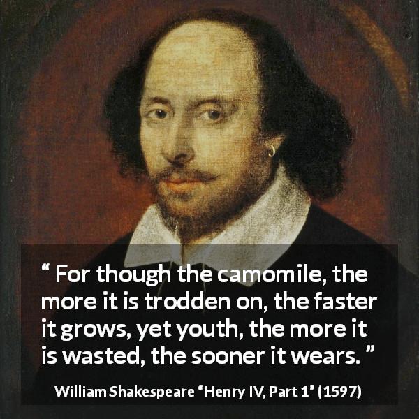William Shakespeare quote about flower from Henry IV, Part 1 - For though the camomile, the more it is trodden on, the faster it grows, yet youth, the more it is wasted, the sooner it wears.