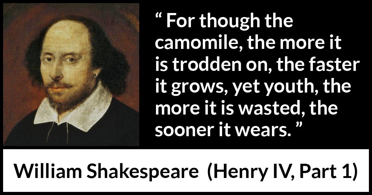 William Shakespeare quote about flower from Henry IV, Part 1 (1597) William Shakespeare quote about flower from Henry IV, Part 1 (1597) - For though the camomile, the more it is trodden on, the faster it grows, yet youth, the more it is wasted, the sooner it wears.