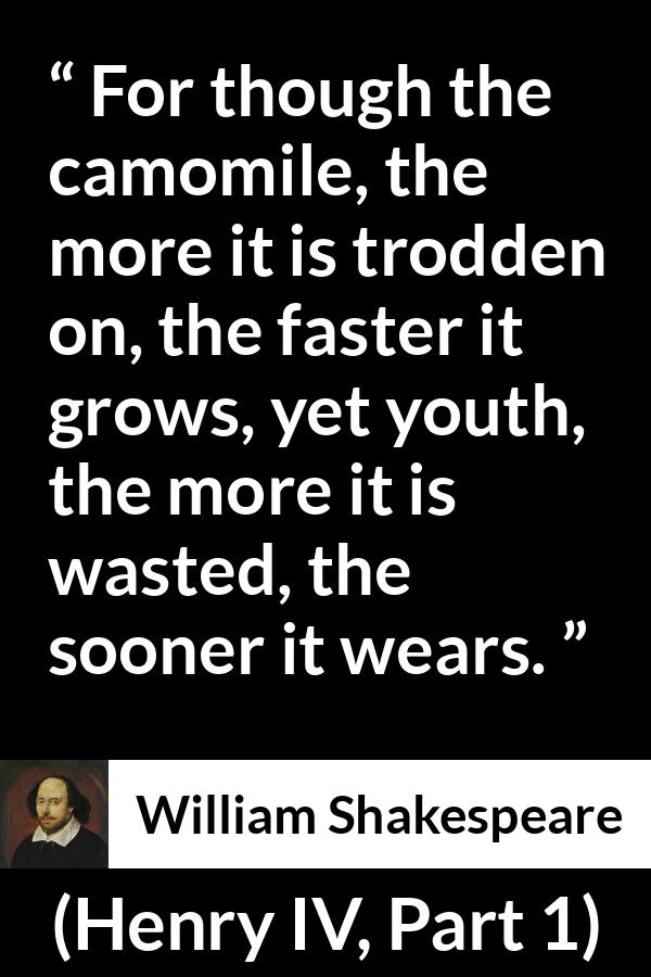 William Shakespeare quote about flower from Henry IV, Part 1 (1597) - For though the camomile, the more it is trodden on, the faster it grows, yet youth, the more it is wasted, the sooner it wears.