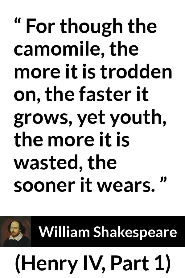William Shakespeare quote about flower from Henry IV, Part 1 (1597) - For though the camomile, the more it is trodden on, the faster it grows, yet youth, the more it is wasted, the sooner it wears.
