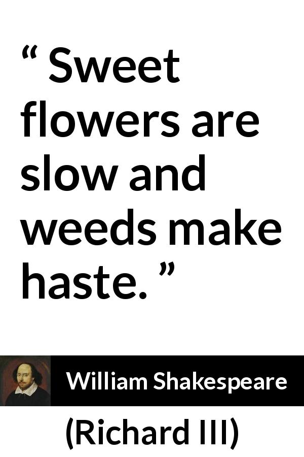 William Shakespeare quote about flower from Richard III - Sweet flowers are slow and weeds make haste.