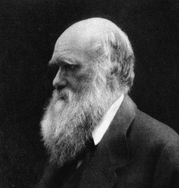 Charles Darwin quotes