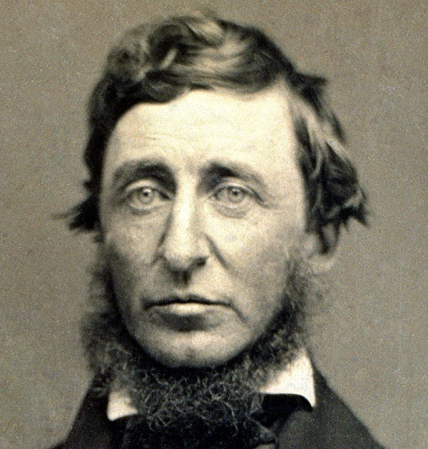 Henry David Thoreau quotes