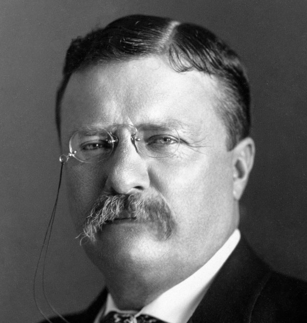 Theodore Roosevelt quotes