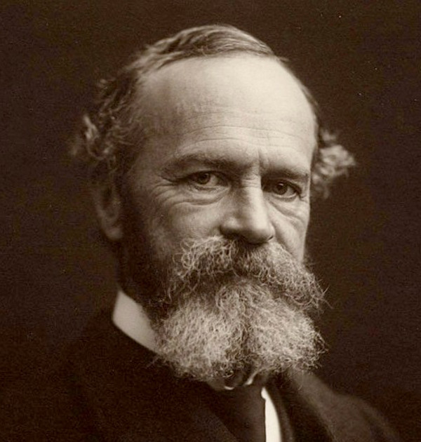 William James quotes