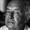 Vladimir Nabokov quotes