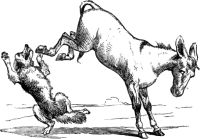 Image de The Ass and the Wolf
