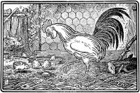 Image de The Cock and the Jewel