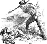 Image de The Old Hound