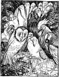 Image de The Owl and the Birds