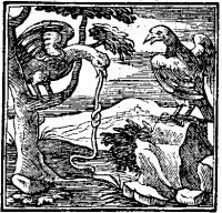 Image de The Sick Kite