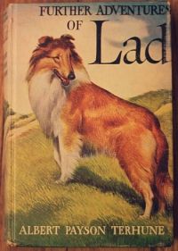 Image de Further Adventures of Lad