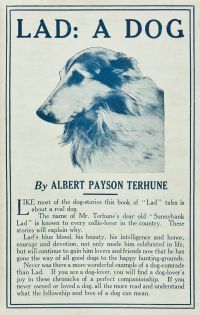 Image de Lad: A Dog