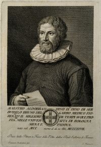 Aldebrandin de Sienne