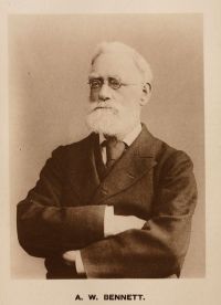 Alfred William Bennett